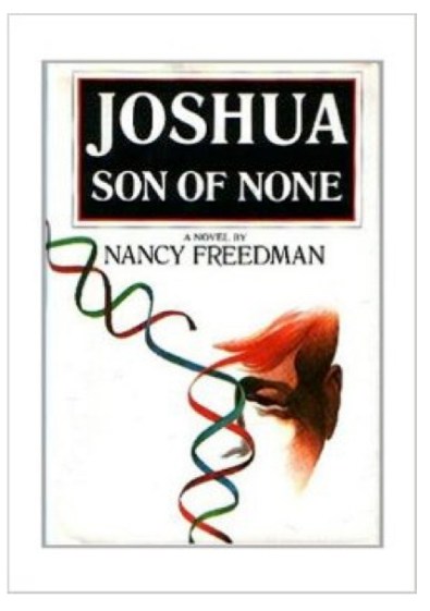 Joshua Son of None
