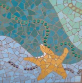 Starfish Mosaic
