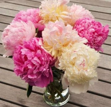 Flower Power