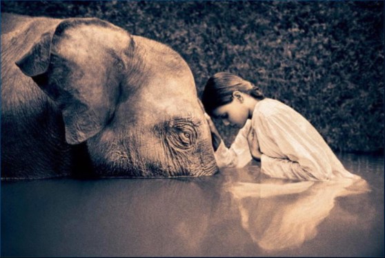 Gregory-Colbert
