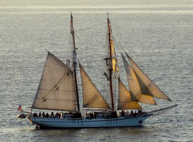 Pirate Ship on the Pacific