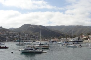 Avalon Boats