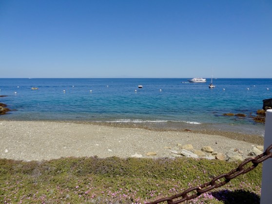 Hamilton Cove Beach