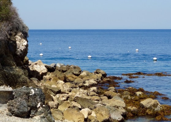 Hamilton Cove Shore