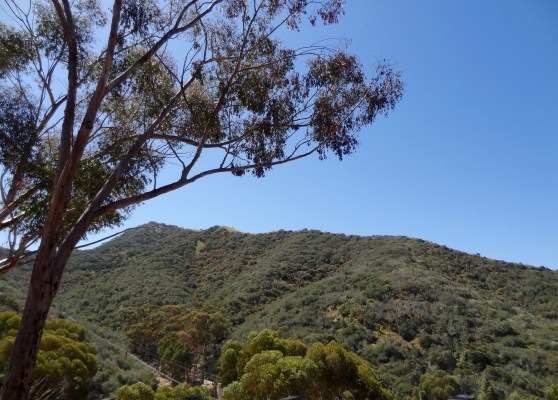 Mountains above Avalon