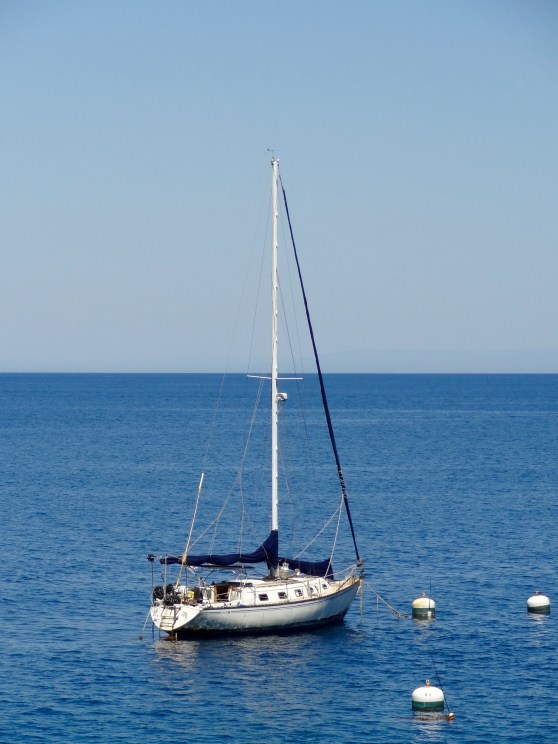 Sail Boat at Hamilton Cove