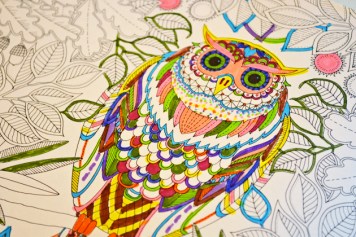 Color This Success