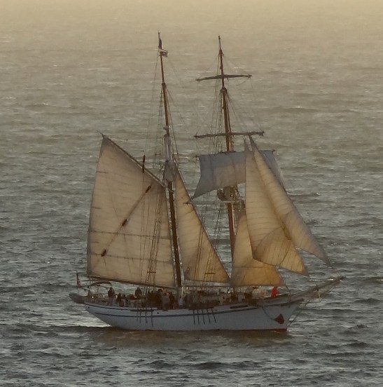 Sail, Not Drift