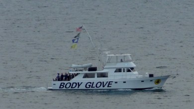 Body Glove