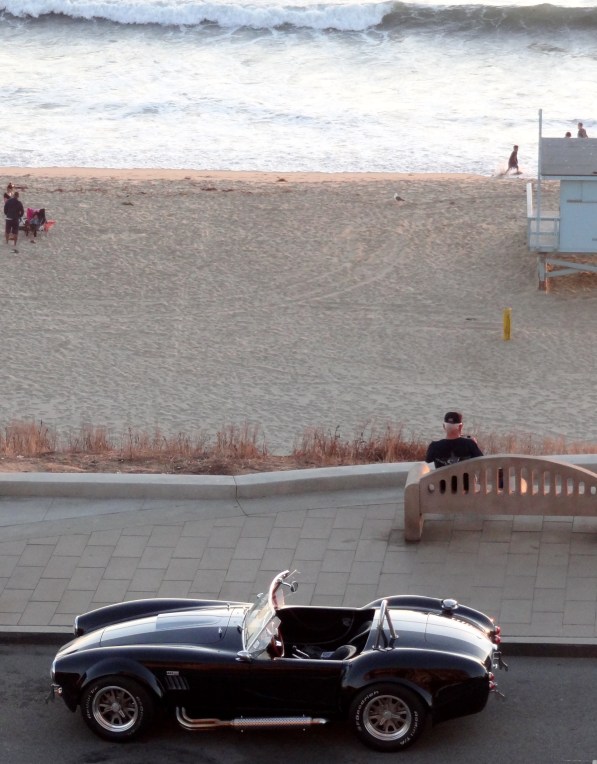 Cobra at The Beach
