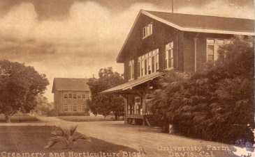 UC Davis 1900