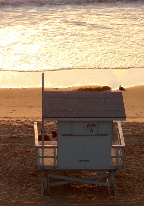 Lifeguard Shelter