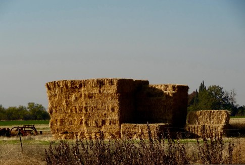 Russell Rd Ranch