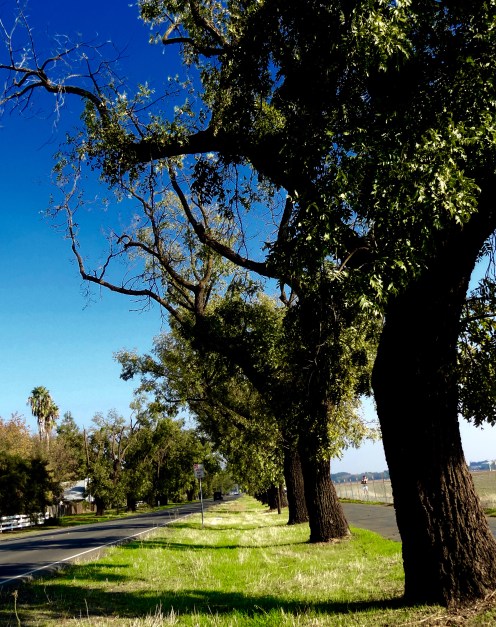 Russell Rd