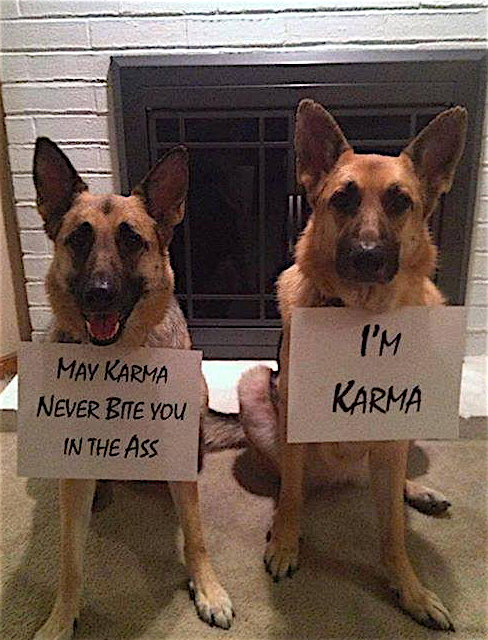 Meet Karma