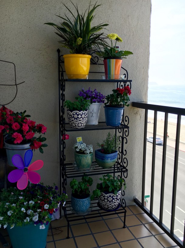 My Secret Garden