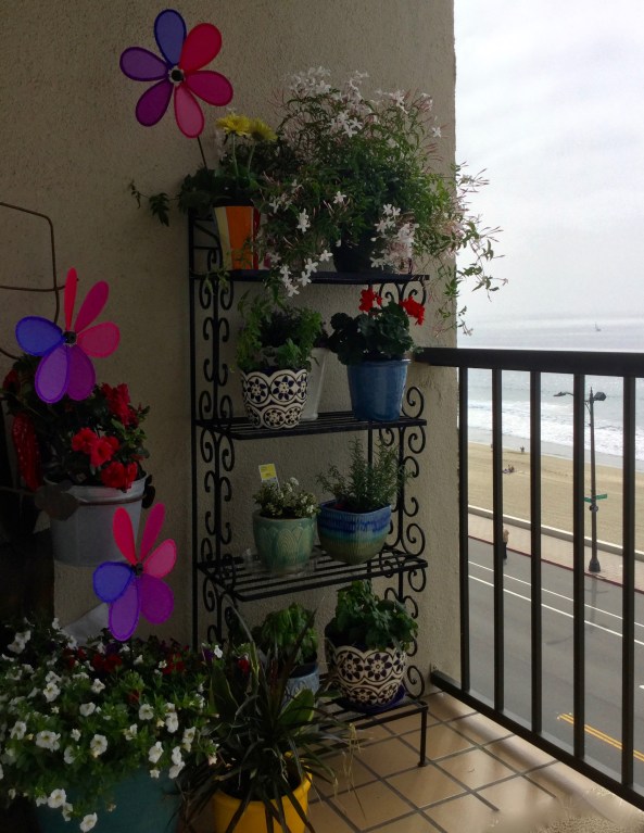 The Disappearing Jasmine.jpg