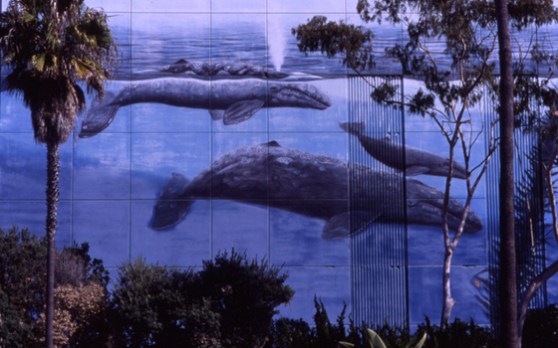 wyland-whaling-wall