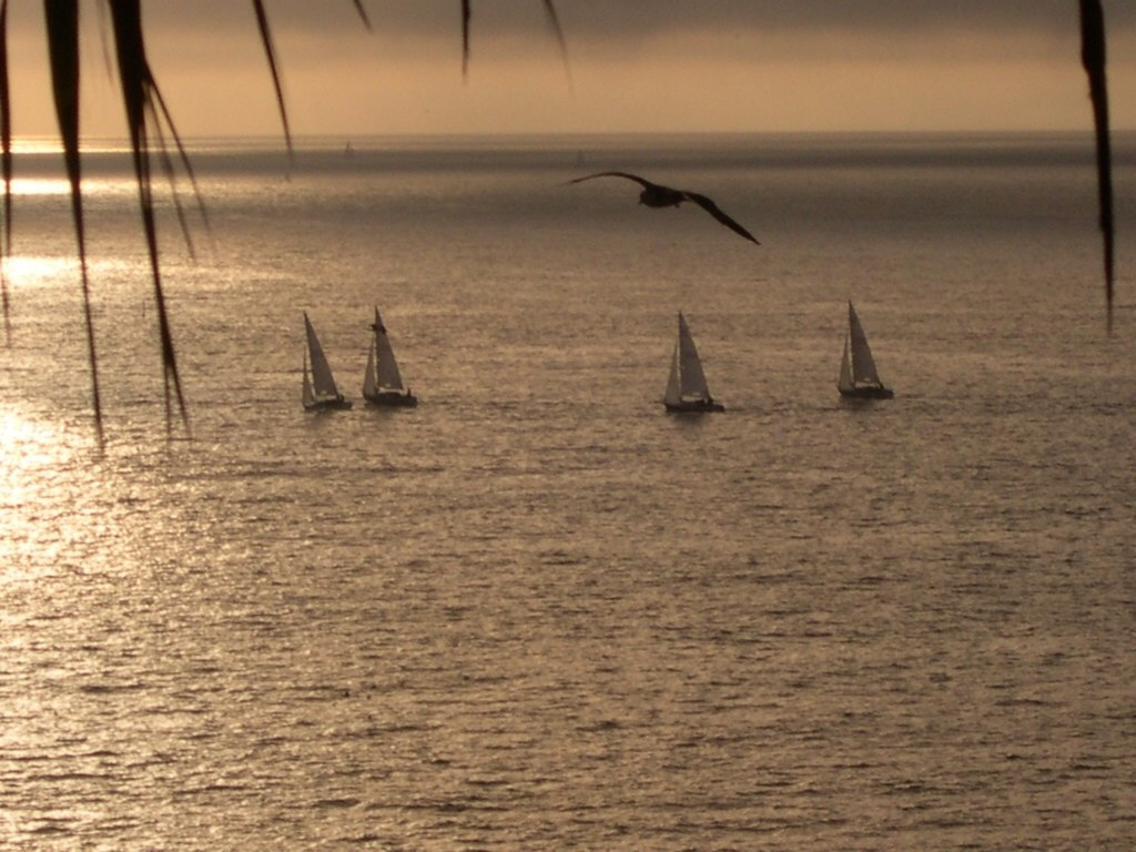 Adjust the Sails