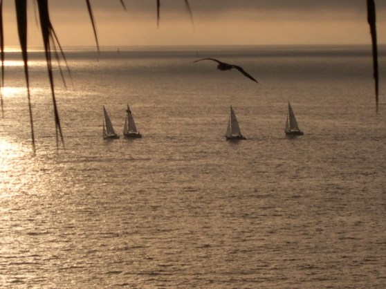 Adjust the Sails