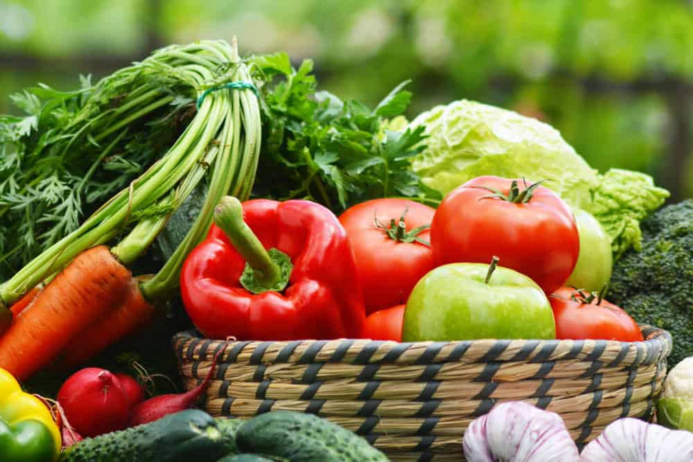 Fresh Ingredients