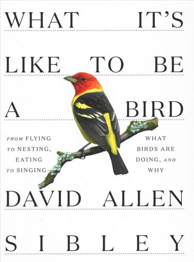 Birdman of the New Millennium