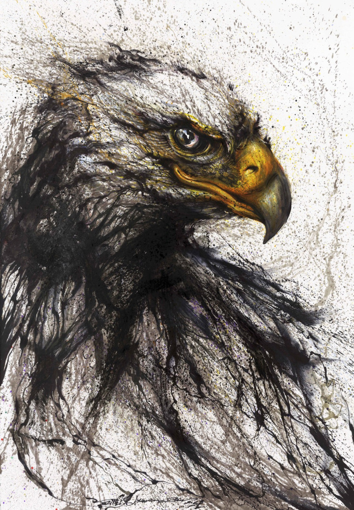 h-is-for-hawk